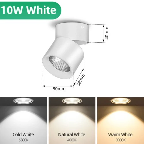 10W witte behuizing