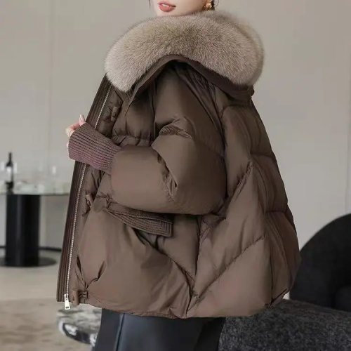 Imagen de Chaqueta de algodón de invierno para mujer, abrigo de algodón grueso y cálido con cuello de piel más grande, chaqueta acolchada de algodón, Parka para mujer 2025