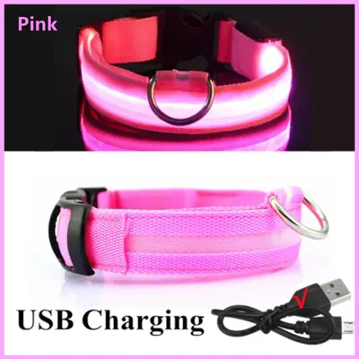 Image de Collier LED Lumineux pour Chien et Chat - Sécurité Nuit