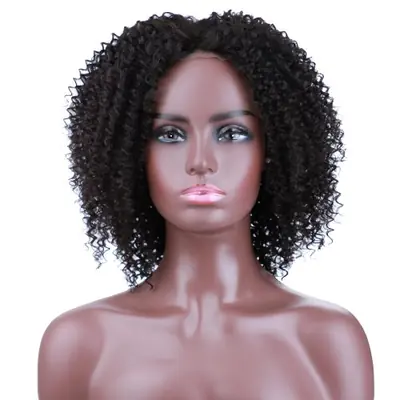 Image de Perruque Afro Bouclée 16 Pouces - Cheveux Synthétiques Naturels