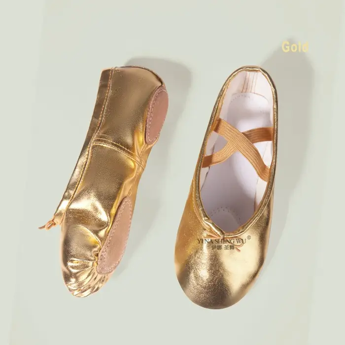 Image de Chaussures de Danse Enfants & Adultes - Semelle Souple