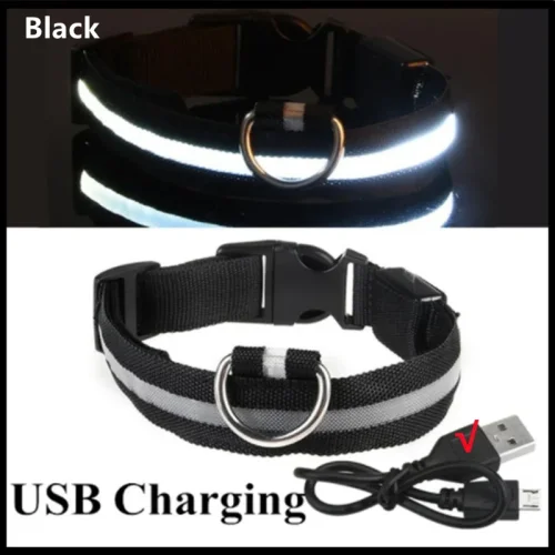 Afbeelding van 3-modi Hond Lichtgevende Charge Kraag Led USB Kat Honden Halsbanden Afneembare Nacht Led Glow Hond Verliespreventie Kraag Huisdier Accessoires