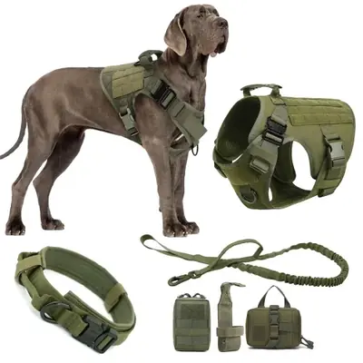 Collier de Dressage Militaire pour Chiens Moyens et Grands