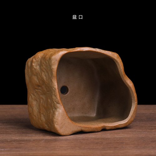 Vue 5 du produit