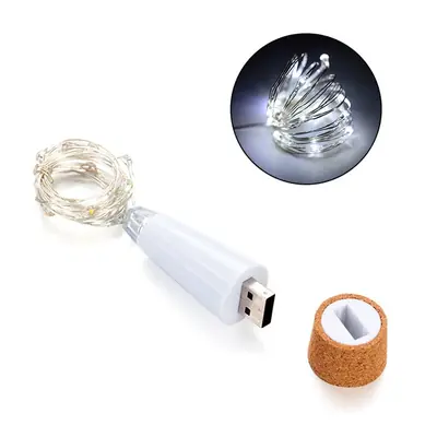 Image de Guirlande Lumineuse Fée USB Rechargeable - 20 LEDs