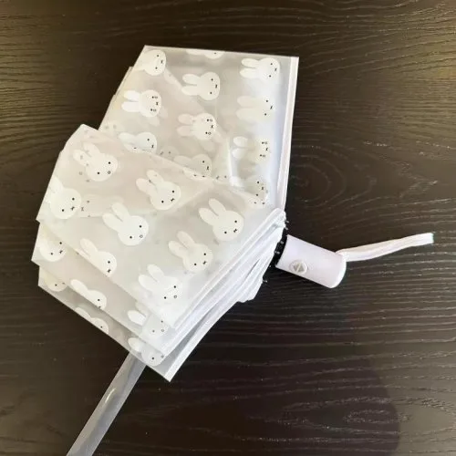 Vue 6 du produit
