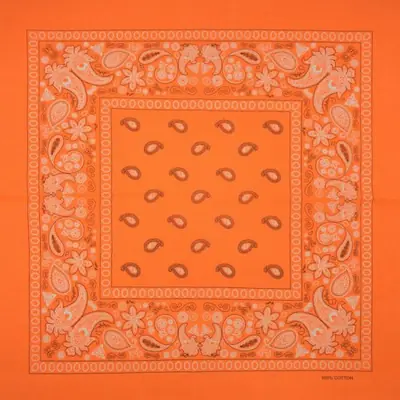 Image de Bandana Hip Hop Style - Noir & Rouge Paisley
