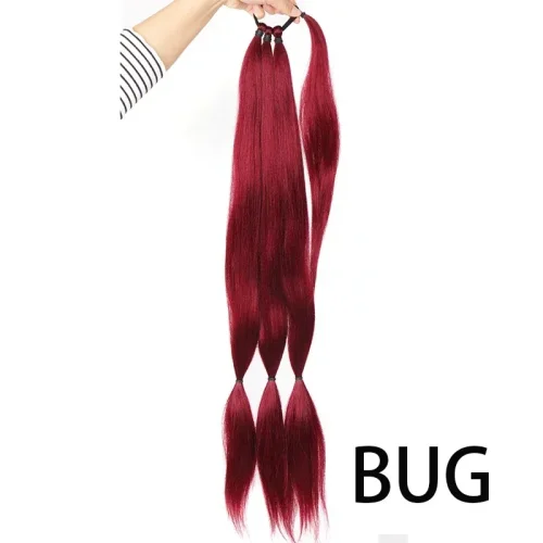 Bug