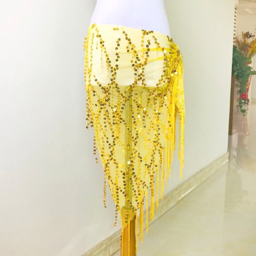 Immagine di Costumi di Danza del Ventre con Paillettes – Stile Indiana Sexy