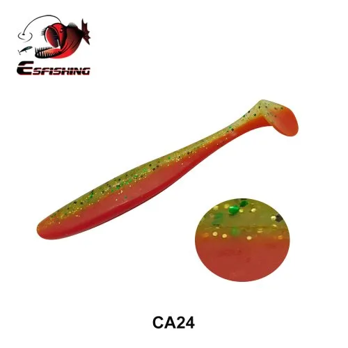 CA24
