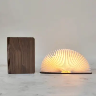 Image de Lampe Livre LED en Bois - Veilleuse Créative pour Enfants