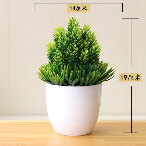 Vue 25 du produit