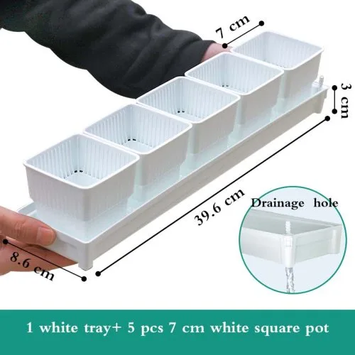 5 Töpfe 1 tablett w