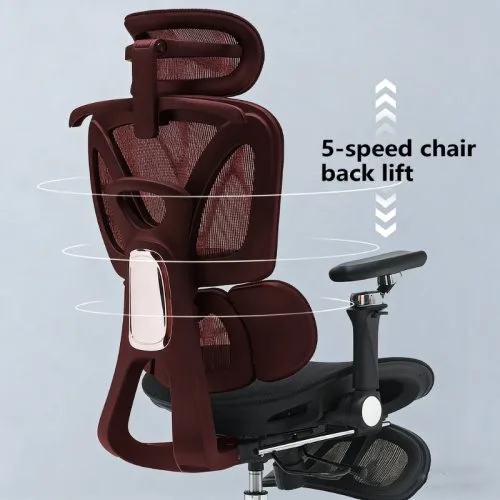 Vue 5 du produit