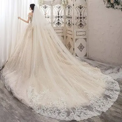 Image de Voile de Mariée Longue - Blanc & Ivoire