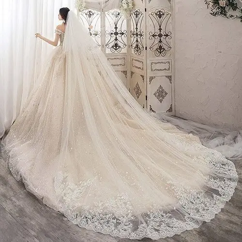 Image de Voile de Mariée Longue - Blanc & Ivoire