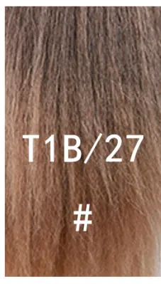 T1B 27