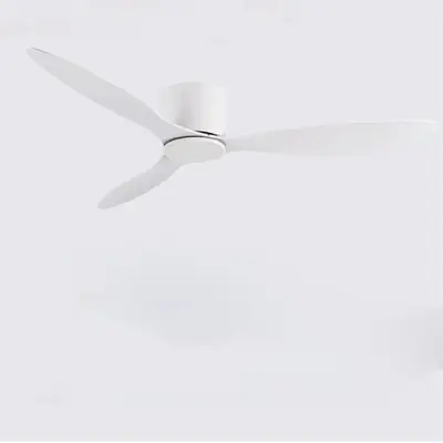 Ventilateur de Plafond 42-52 Pouces avec Télécommande - Design Élégant et Silencieux