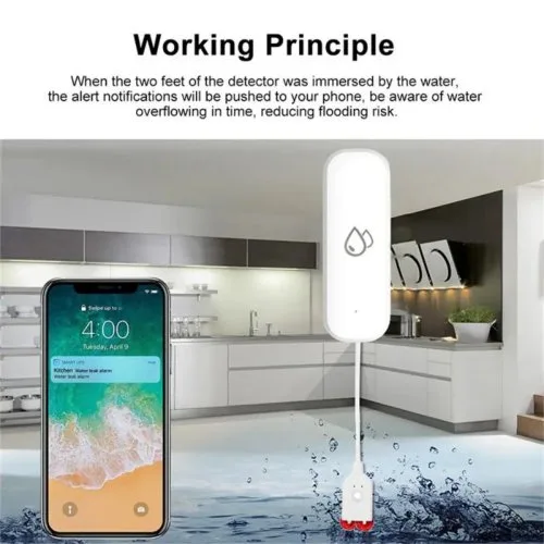 Vue 5 du produit