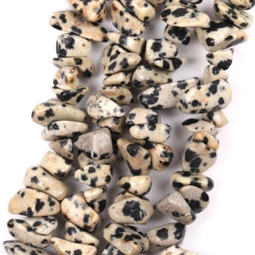 Dalmata
