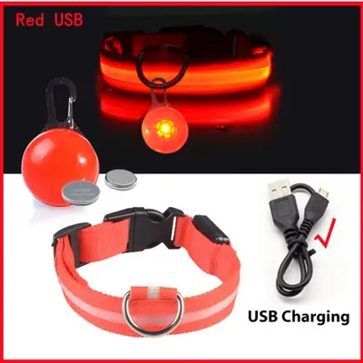 Image de Collier Lumineux LED pour Chien et Chat