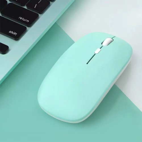Vue 13 du produit