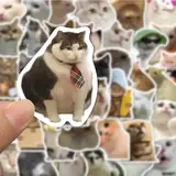 Vue 6 du produit