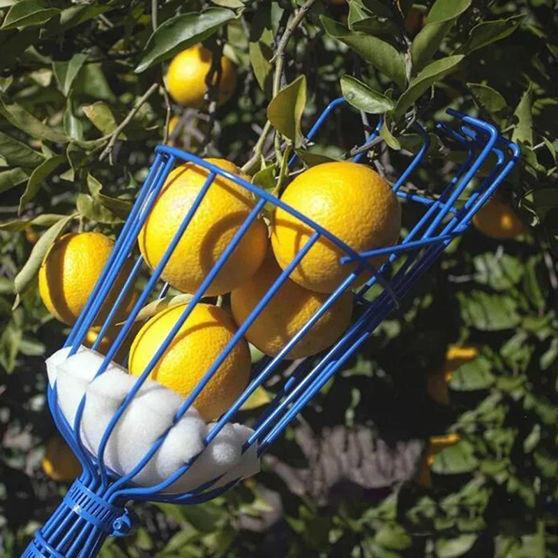 Afbeelding van Diepe Mand Fruitplukker Hoofd Handige Fruitplukker Catcher Appel Perzik Plukken Boerderij Tuin Plukapparaat Tuingereedschap