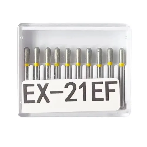 EX-21EF