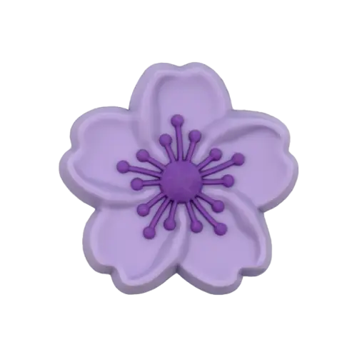 005-50