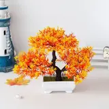 Vue 8 du produit