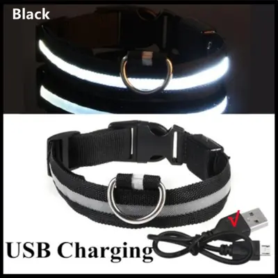 Image de Collier LED Lumineux pour Chien et Chat - Sécurité Nuit