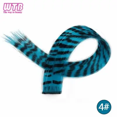 Image de Extensions de Cheveux Clip-in Longues & Lisses - Style Zèbre Coloré