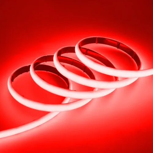 Rot