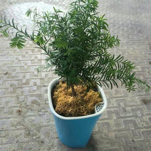 Vue 2 du produit