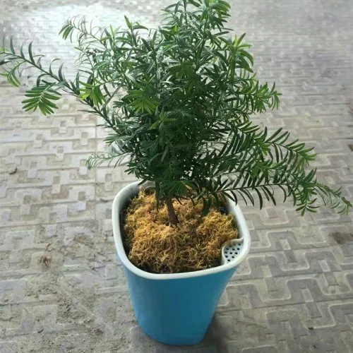 Vue 3 du produit