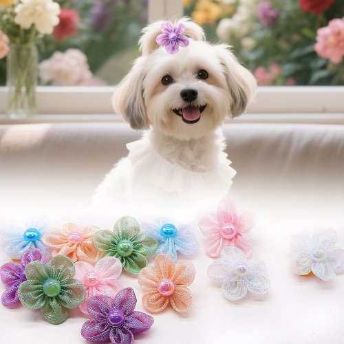 Fiocchi di Pizzo per Cani - Accessori per Toelettatura