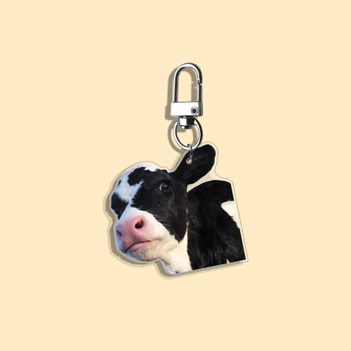 Vue 29 du produit