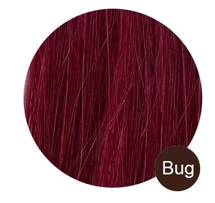 Bug