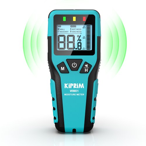 WM01