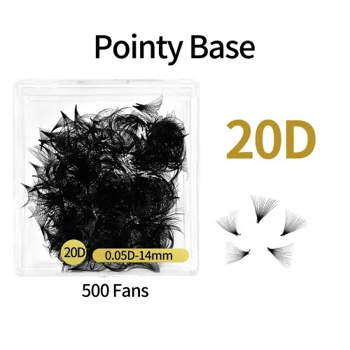 20D