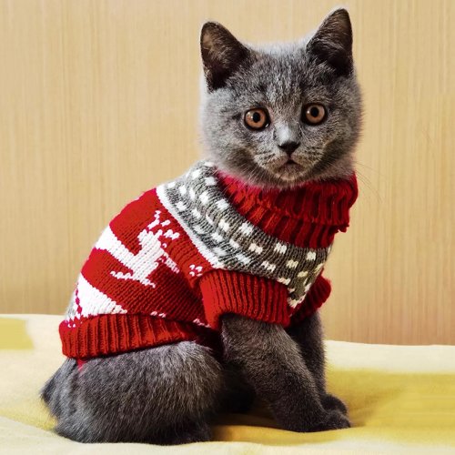 Maglione Caldo e Morbido per Gatti – Costume Invernale Adatto a Tutti i Tipi di Gatto, Inclusi Sphynx e Razze Pelose