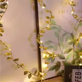Vue 4 du produit