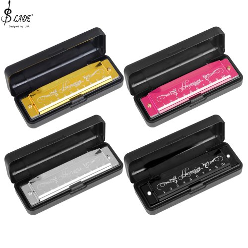 Afbeelding van Professionele 10-gaats mondharmonica in C-toon met koffer – Ideaal kerstcadeau voor beginners en muziekliefhebbers