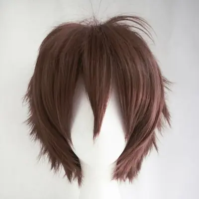 Image de Perruque Cosplay Homme - Cheveux Courts Retournés