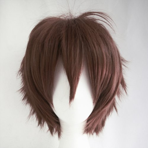 Image de Perruque Cosplay Homme - Cheveux Courts Retournés