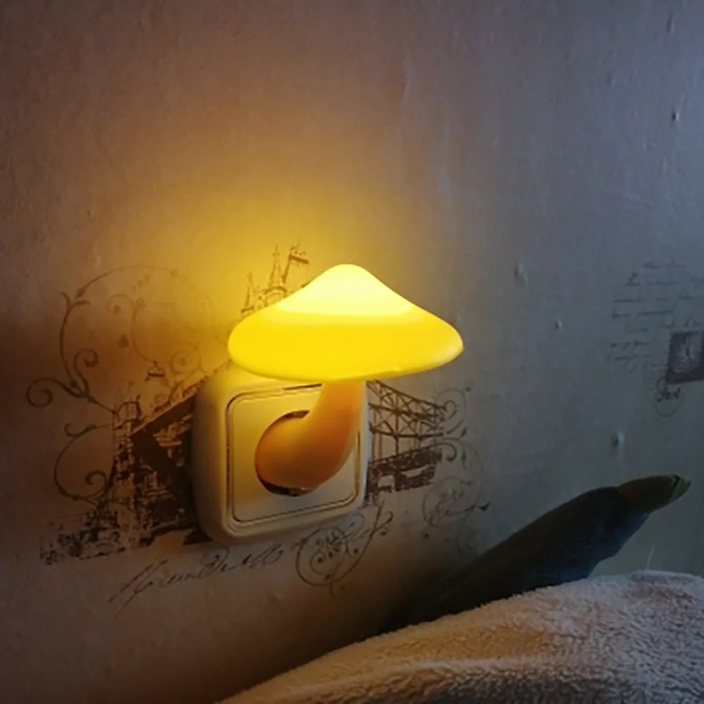 Vue 3 du produit