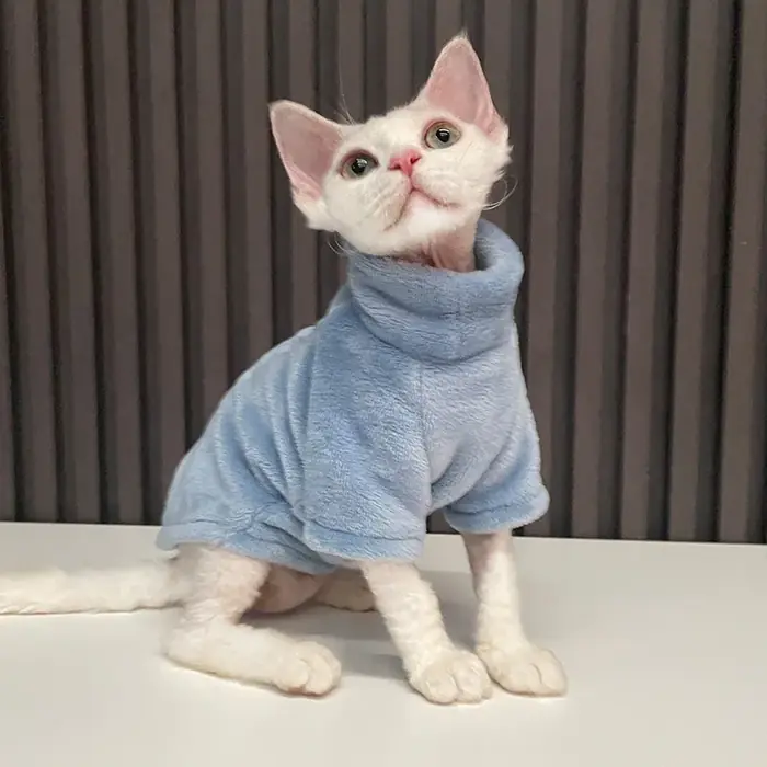 Image de Vêtements stylés pour chats Sphynx - Pull à capuche douillet
