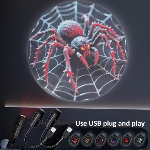 Vue 2 du produit