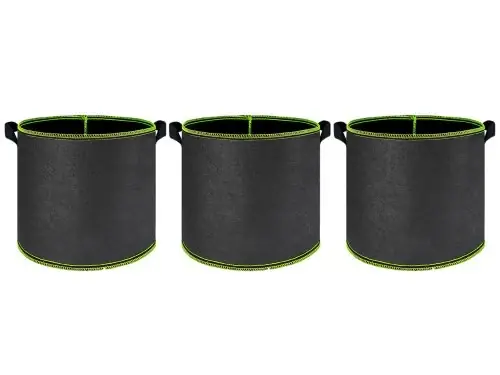 3PCS